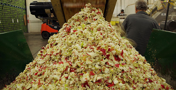 蘋果渣烘干機處理前 蘋果渣烘干機處理前